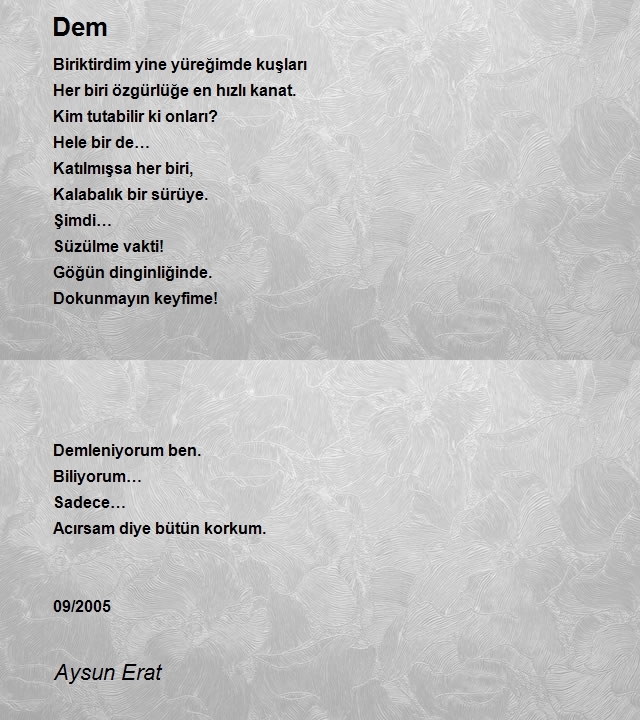 Aysun Erat