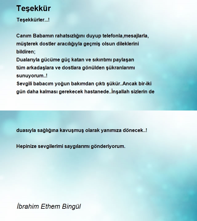 İbrahim Ethem Bingül