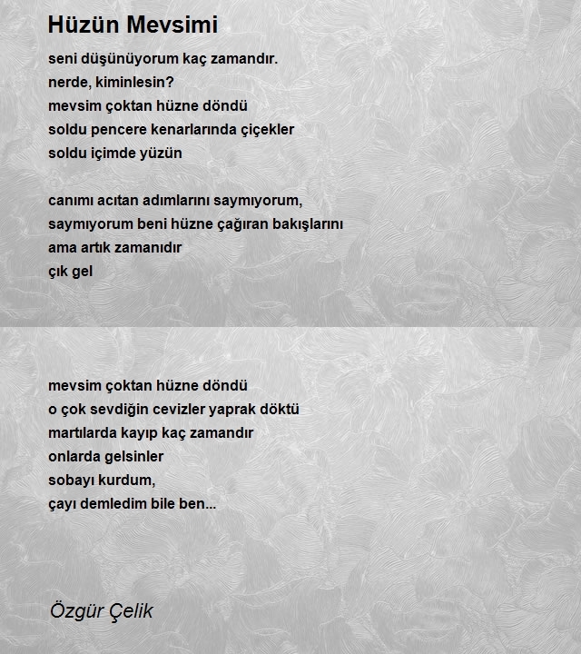 Özgür Çelik