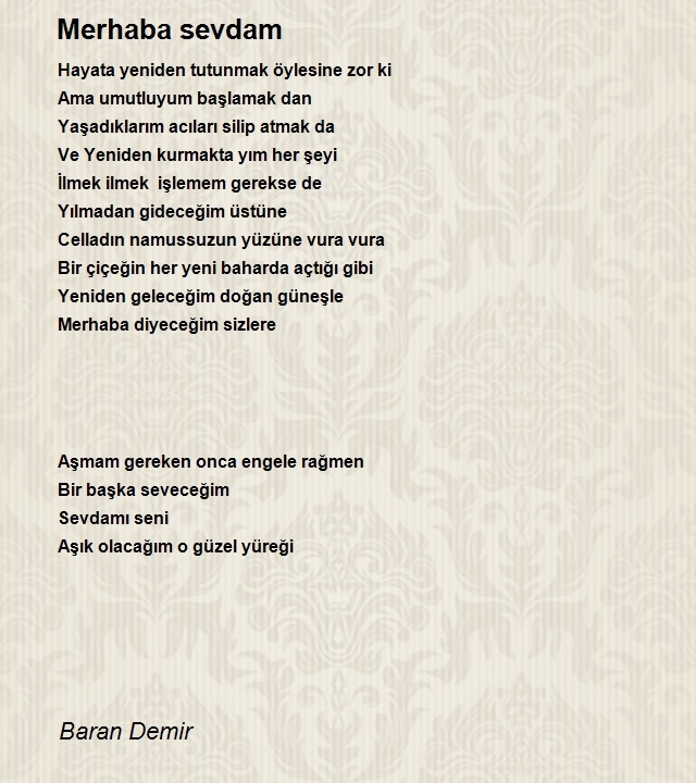 Baran Demir