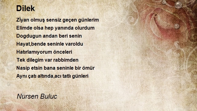 Nursen Buluc