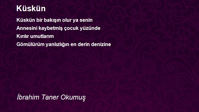 İbrahim Taner Okumuş