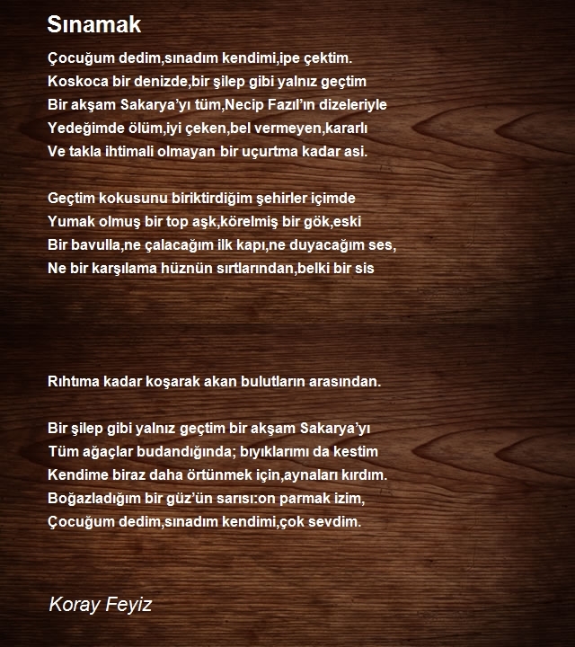 Koray Feyiz