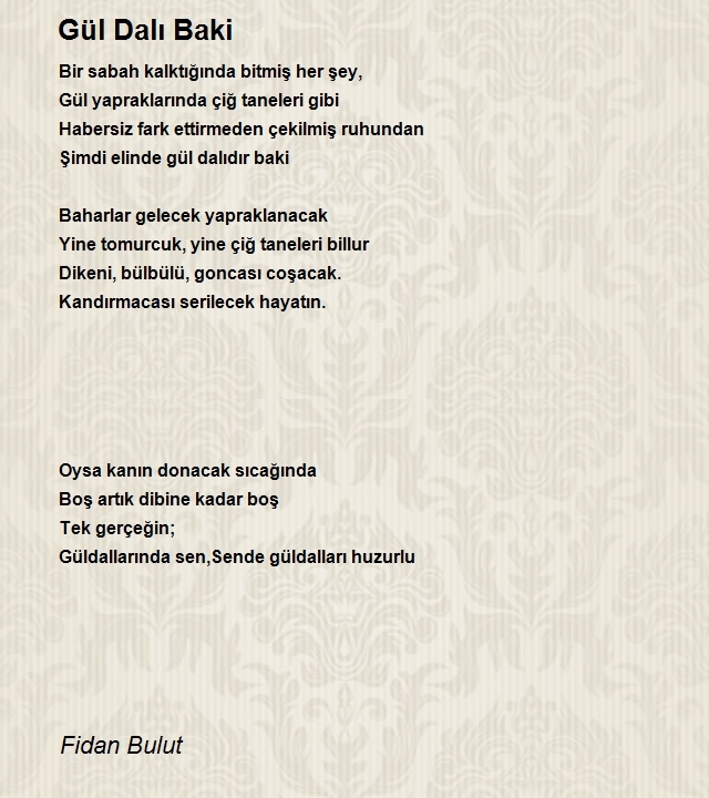 Fidan Bulut