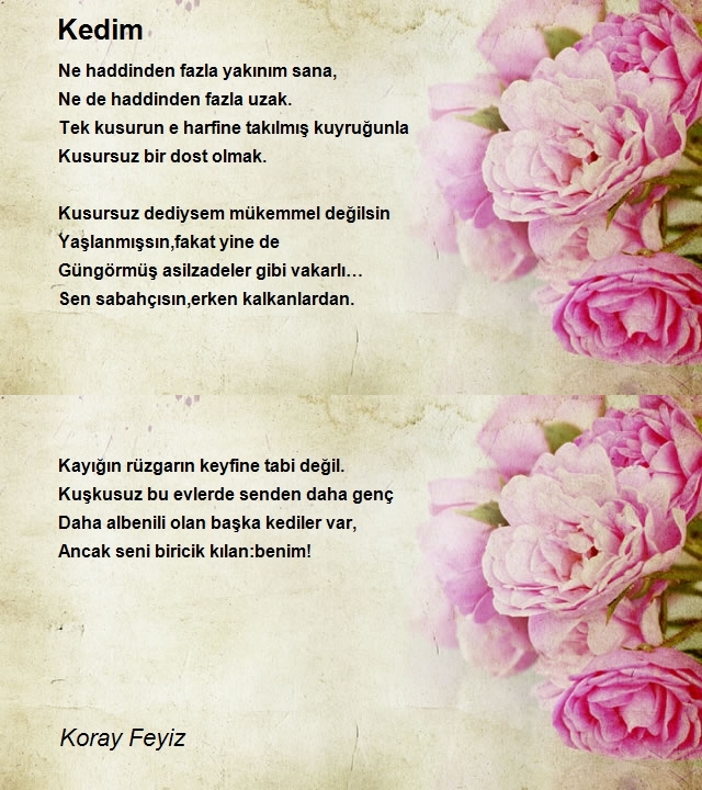 Koray Feyiz