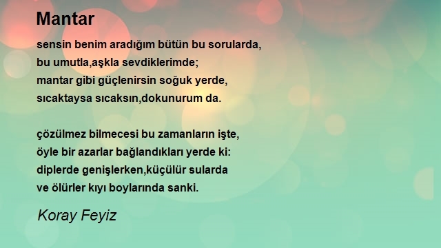 Koray Feyiz