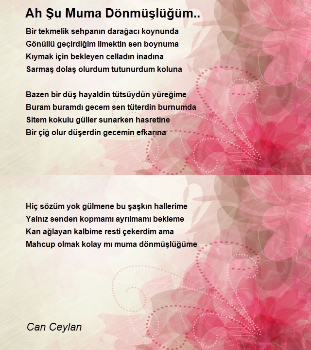 Can Ceylan