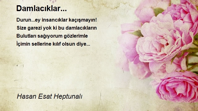 Hasan Esat Heptunalı