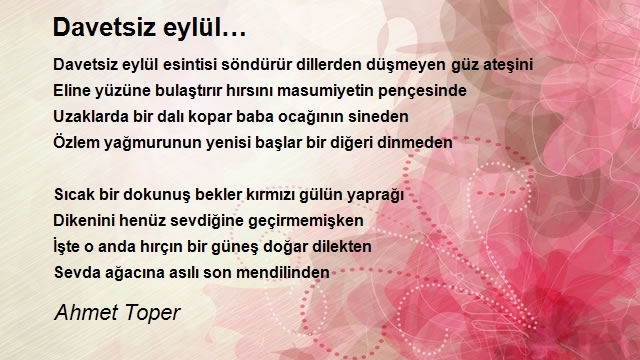 Ahmet Toper