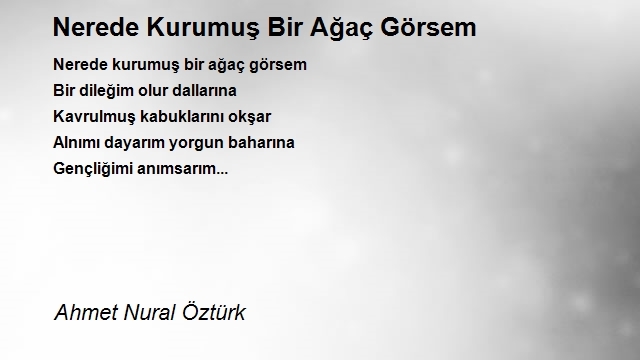 Ahmet Nural Öztürk