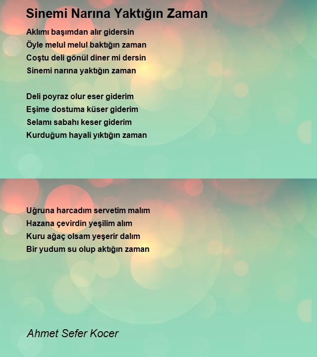 Ahmet Sefer Kocer