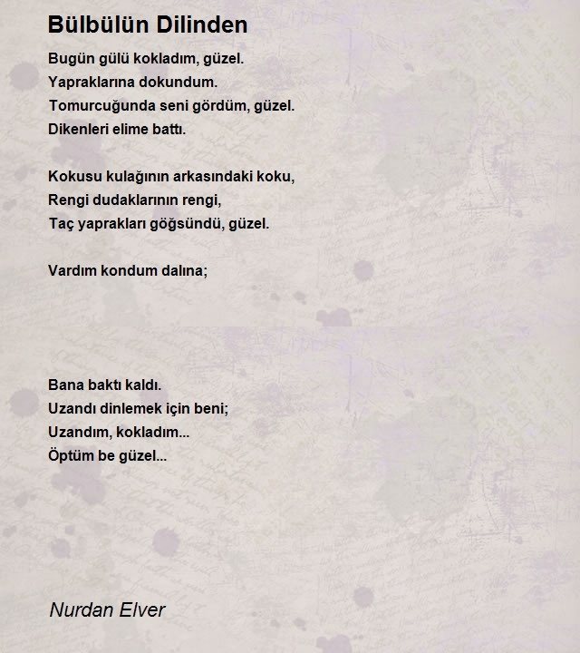 Nurdan Elver