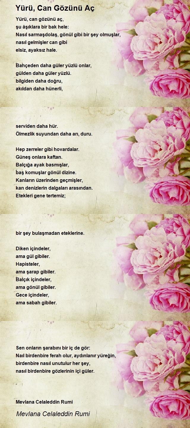 Mevlana Celaleddin Rumi