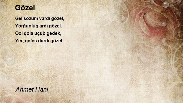 Ahmet Hani