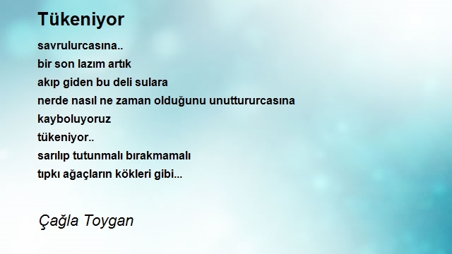 Çağla Toygan