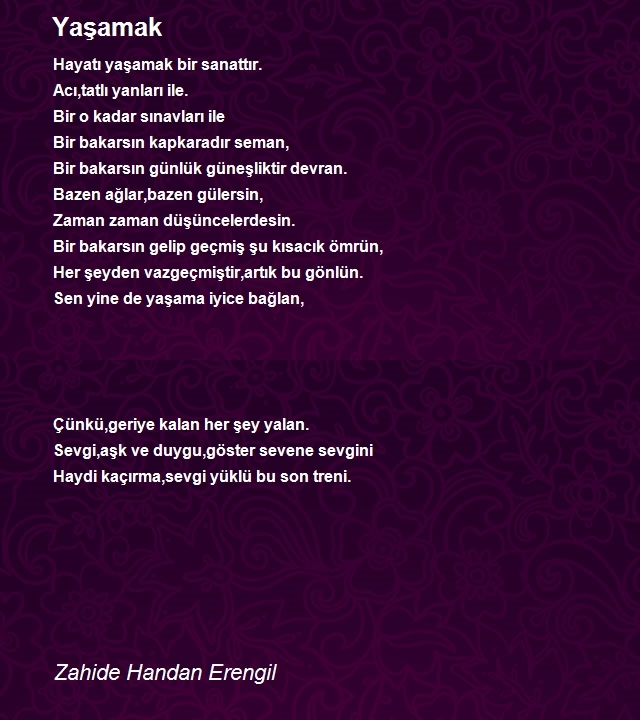 Zahide Handan Erengil