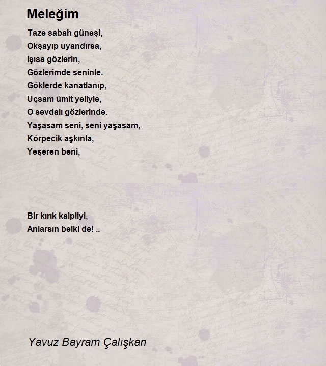 Yavuz Bayram Çalışkan