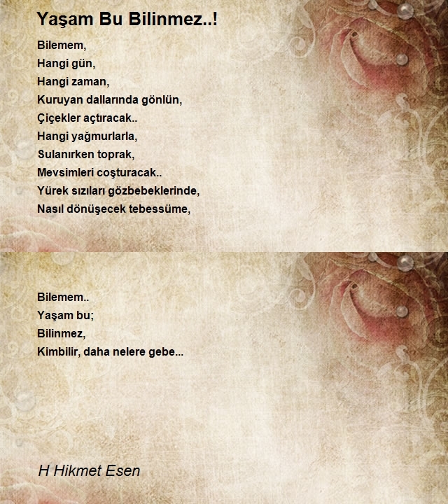 H Hikmet Esen