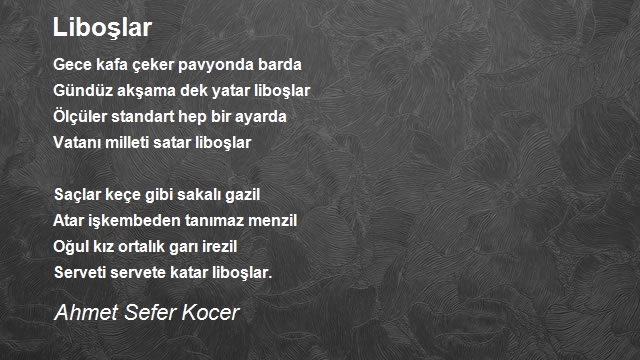 Ahmet Sefer Kocer