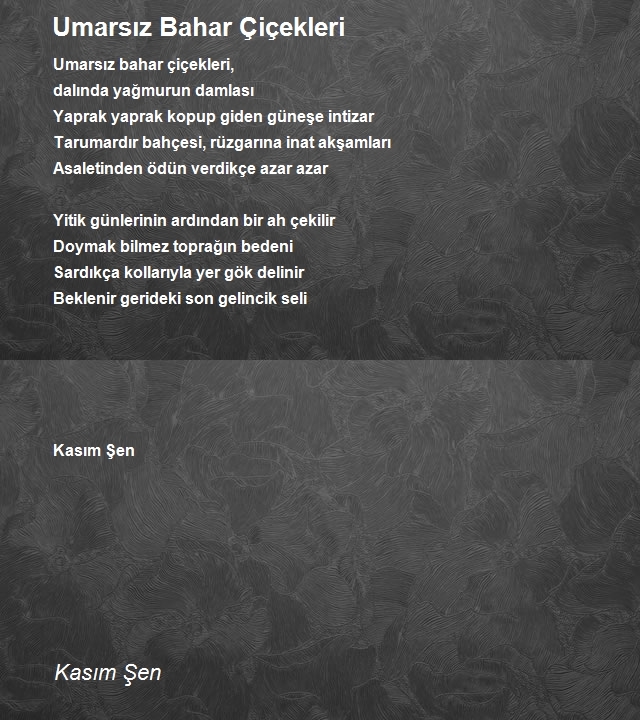 Kasım Şen