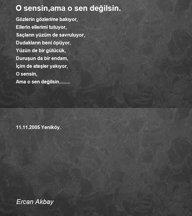 Ercan Akbay