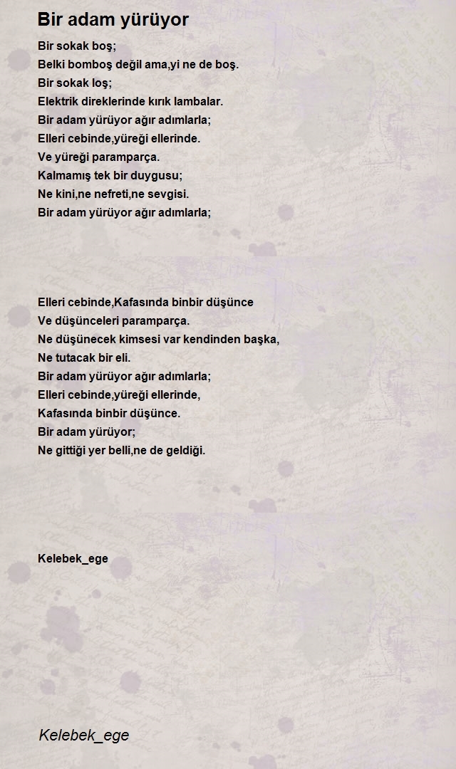 Şair Kelebek_ege