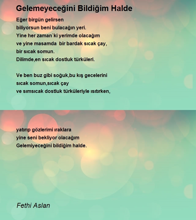 Fethi Aslan