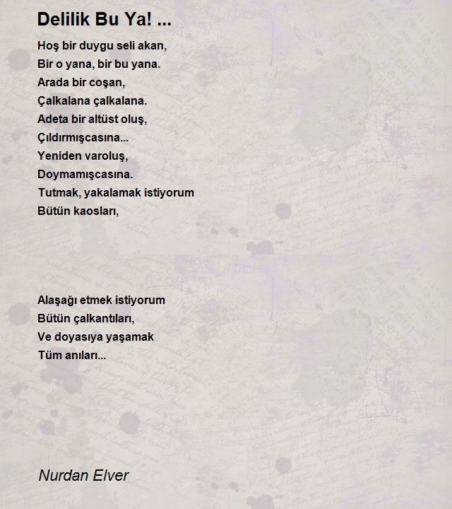 Nurdan Elver