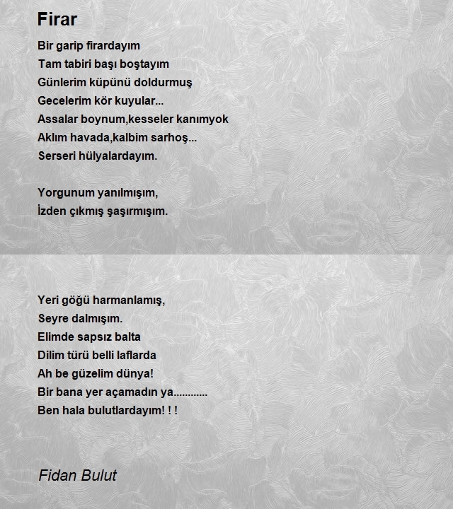 Fidan Bulut