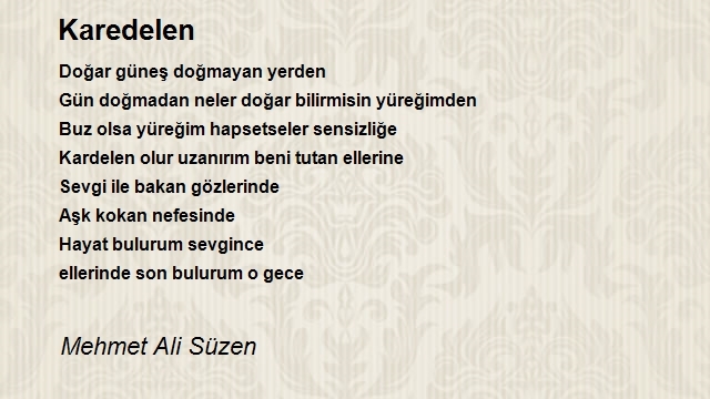 Mehmet Ali Süzen