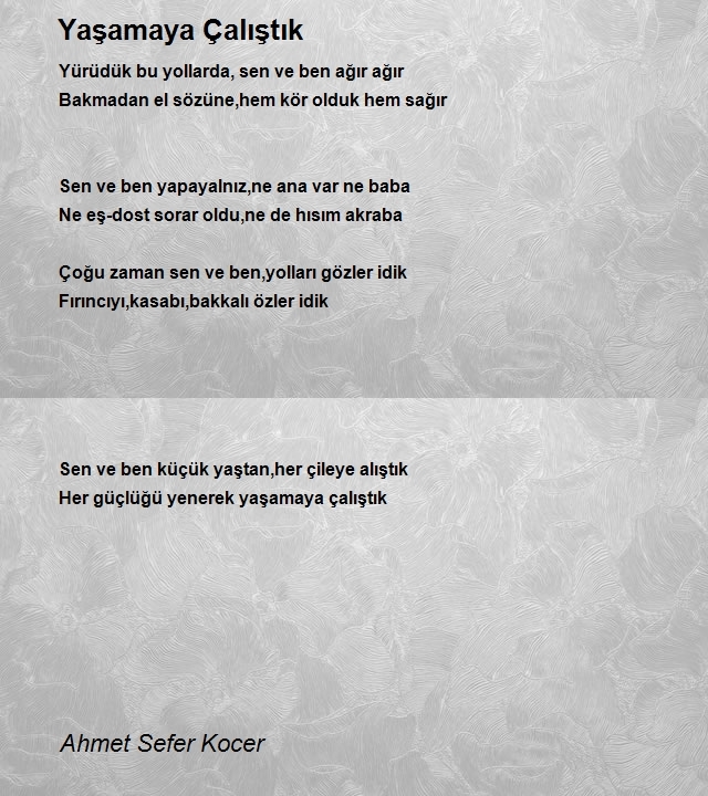 Ahmet Sefer Kocer