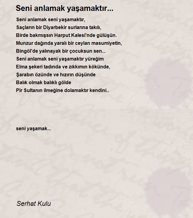 Serhat Kulu