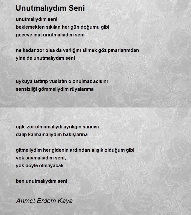 Ahmet Erdem Kaya