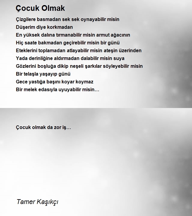 Tamer Kaşıkçı