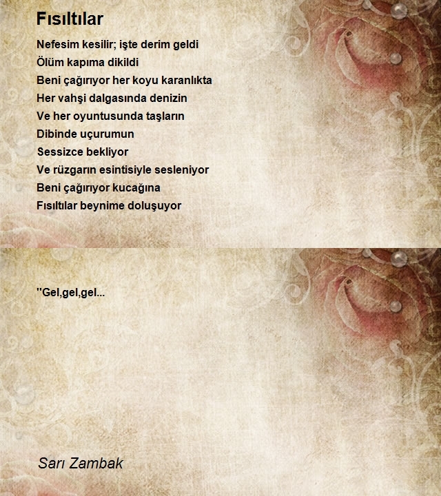 Sarı Zambak