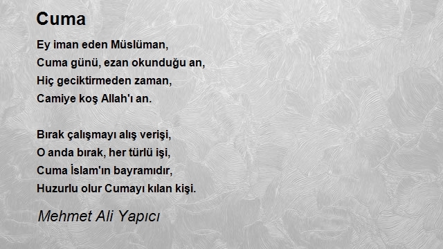 Mehmet Ali Yapıcı