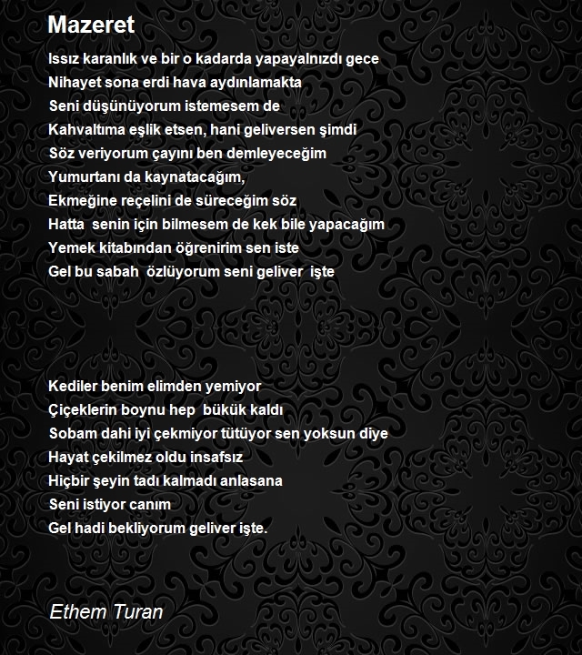 Ethem Turan