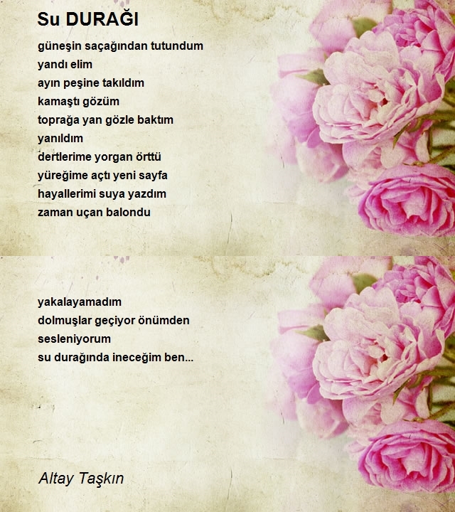 Altay Taşkın