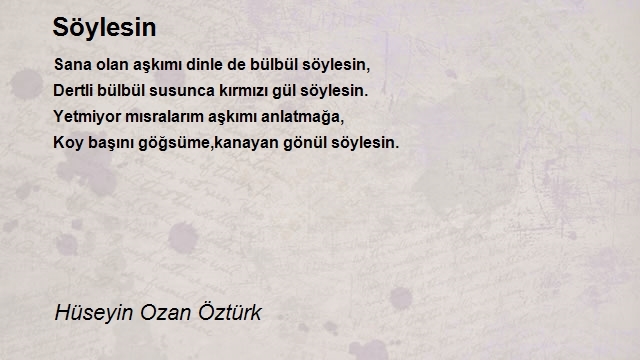 Hüseyin Ozan Öztürk