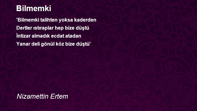 Nizamettin Ertem