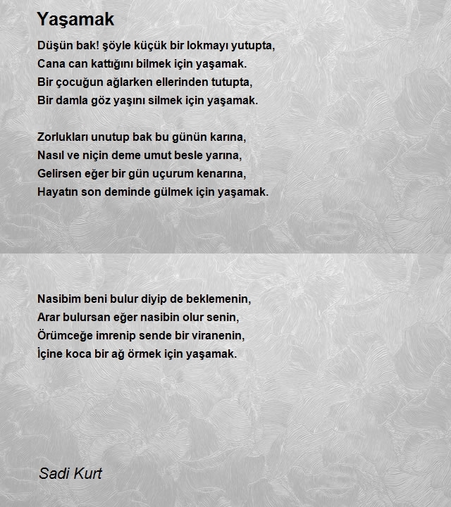 Sadi Kurt