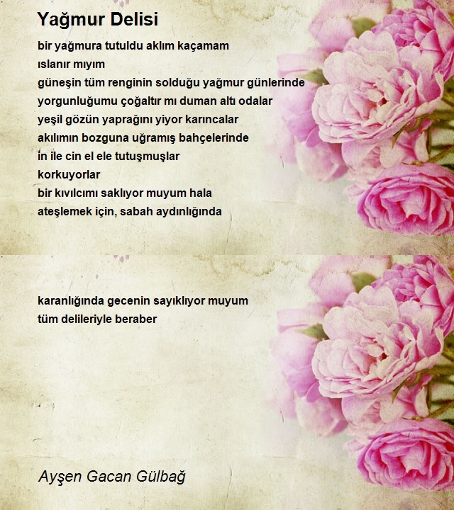 Ayşen Gacan Gülbağ