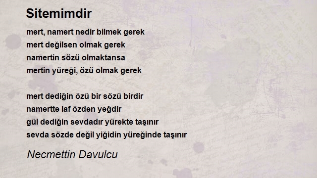 Necmettin Davulcu