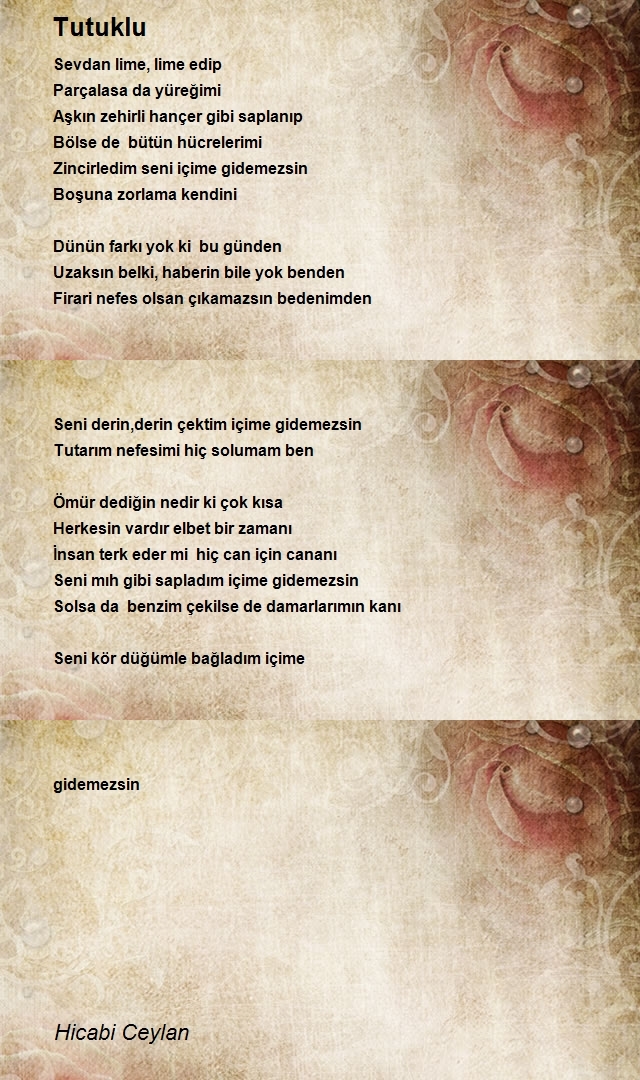 Hicabi Ceylan