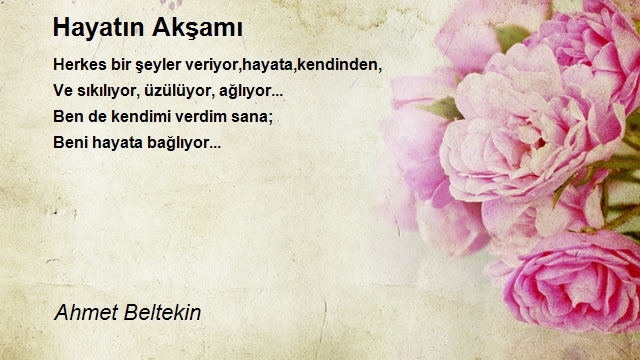 Ahmet Beltekin