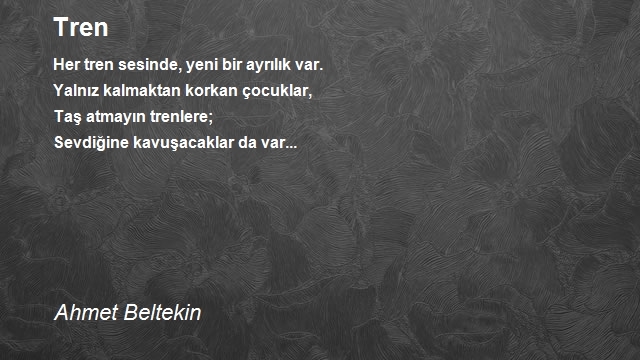 Ahmet Beltekin