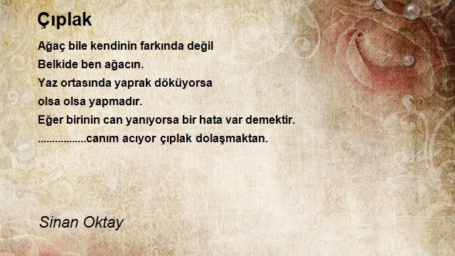 Sinan Oktay