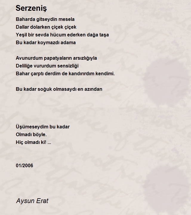 Aysun Erat