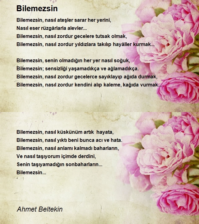 Ahmet Beltekin