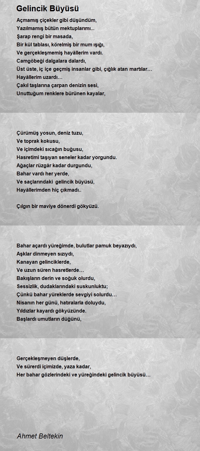 Ahmet Beltekin